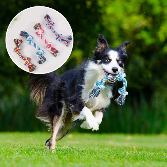 jouet durable pour chien