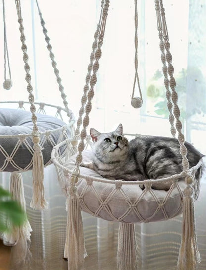 joueur hamac pour chat