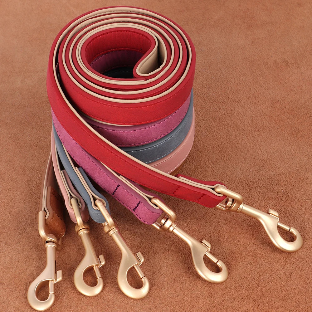 laisse brun rose bleu rouge rose vif
