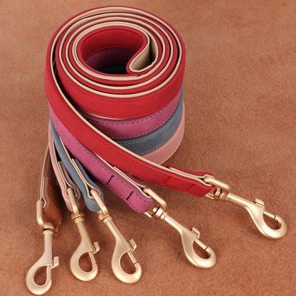 laisse brun rose bleu rouge rose vif