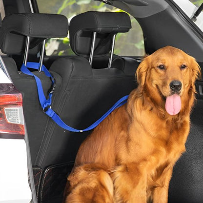 Laisse chien Ultra-Résistante bleu