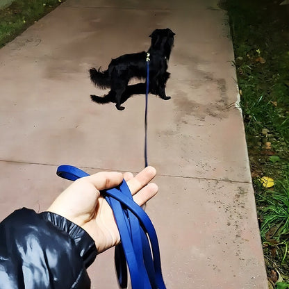 laisse chien nuit bleu