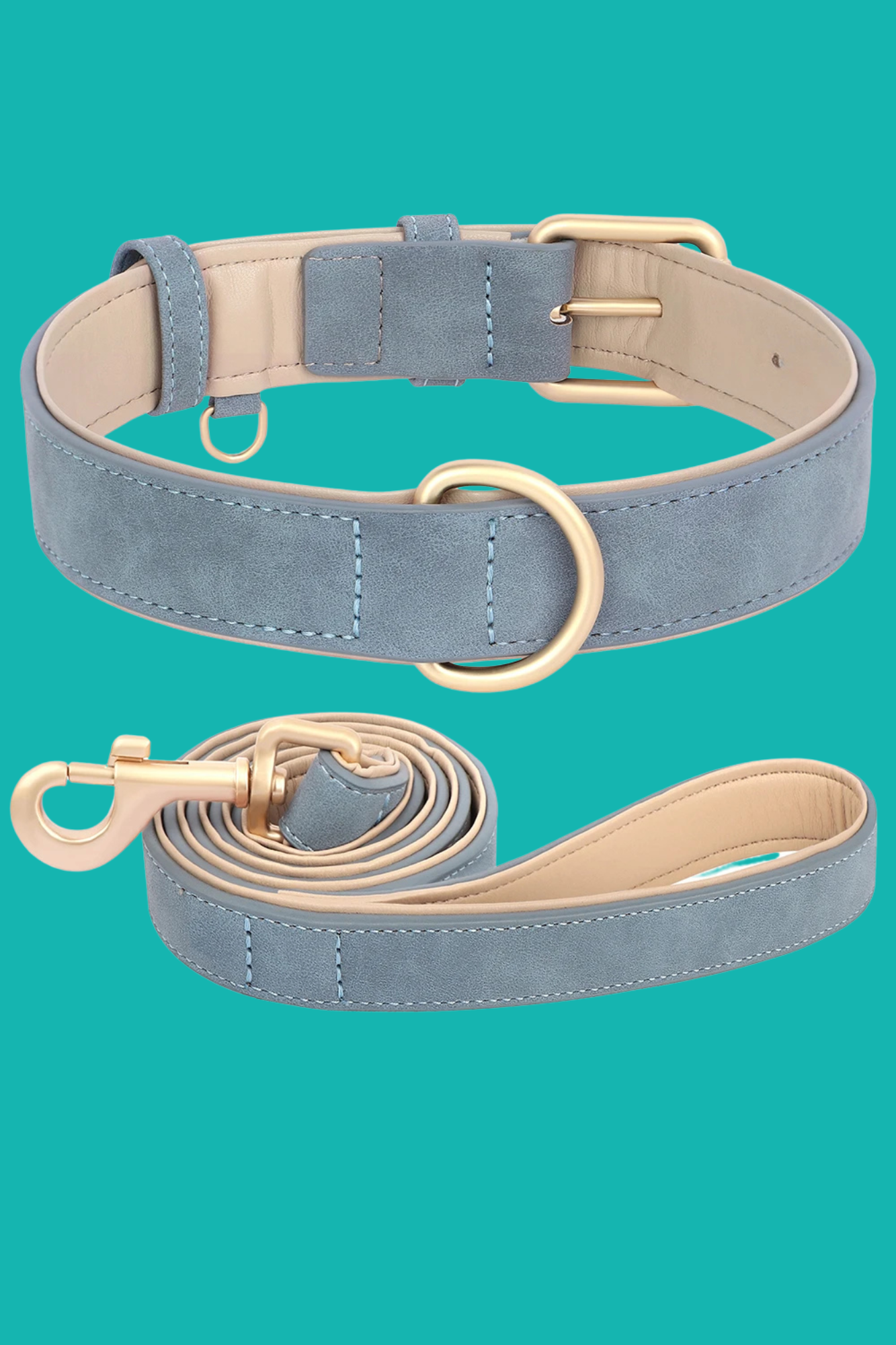laisse collier bleu