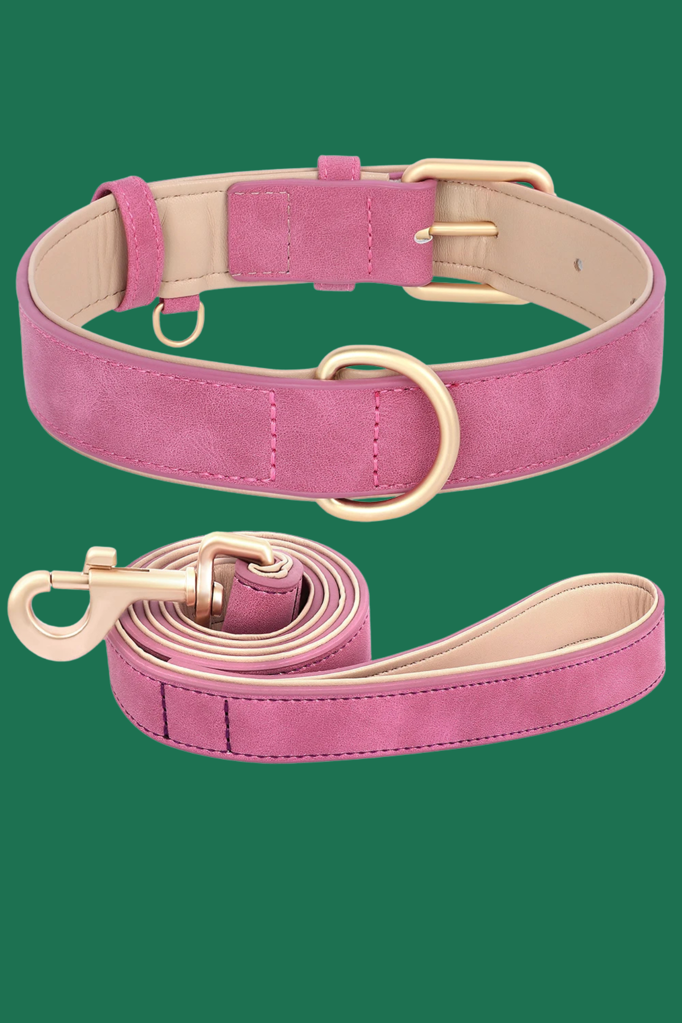 laisse collier rose vif