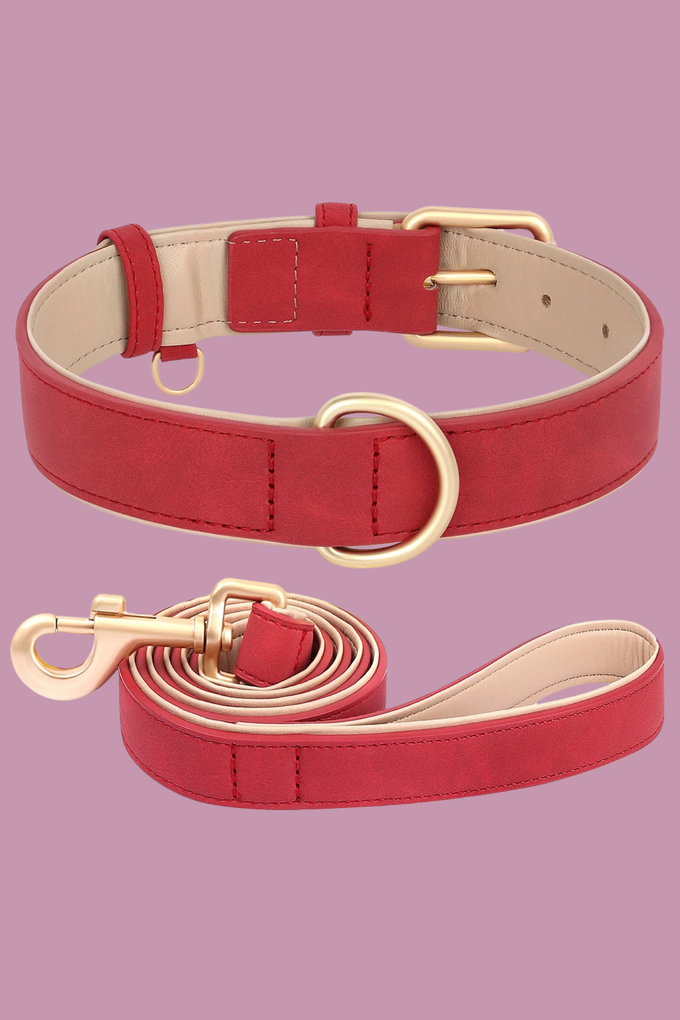 laisse collier rouge