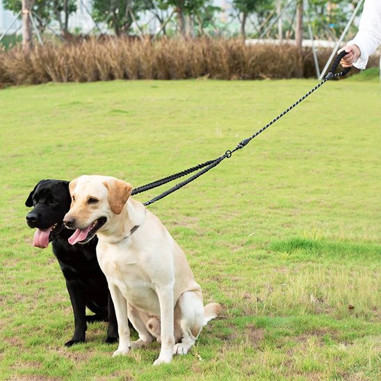 Laisse doubleConfort et Sécurité  pour chien