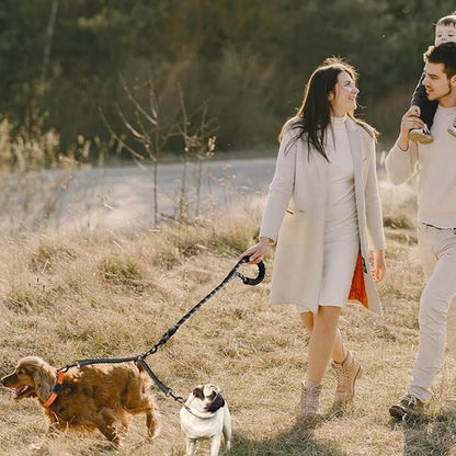Laisse double gris pour chien