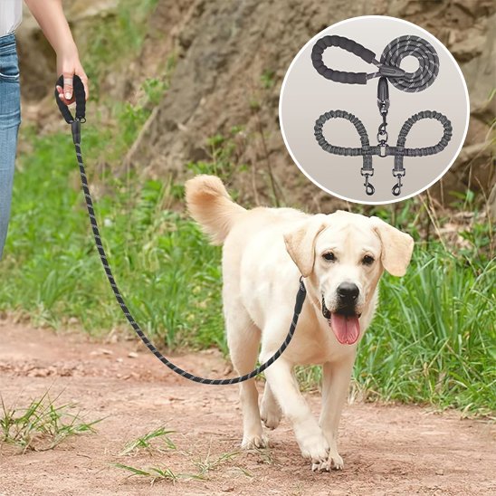 Laisse double pour chien gris Confort et Sécurité