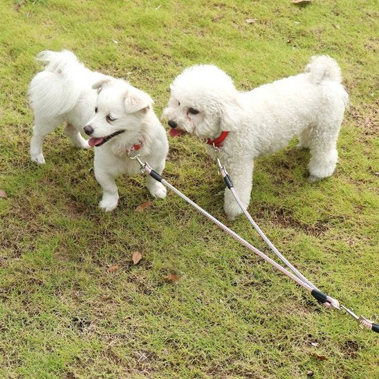 Laisse double pour chien gris