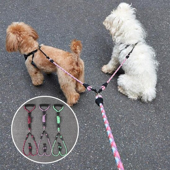 Laisse double pour chien rouge rose vert