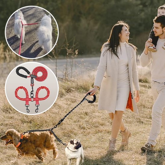 Laisse double pour chien rouge