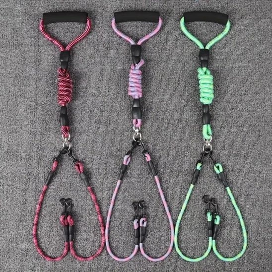 Laisse double pour chien vert rose rouge