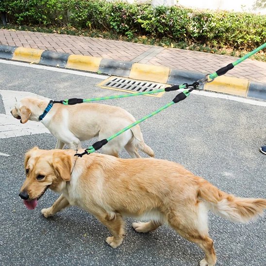 Laisse double pour chien vert