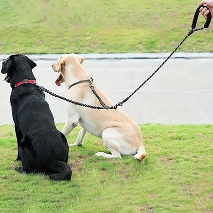 Laisse double pour gris chien