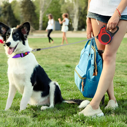 laisse gros chien parc gens