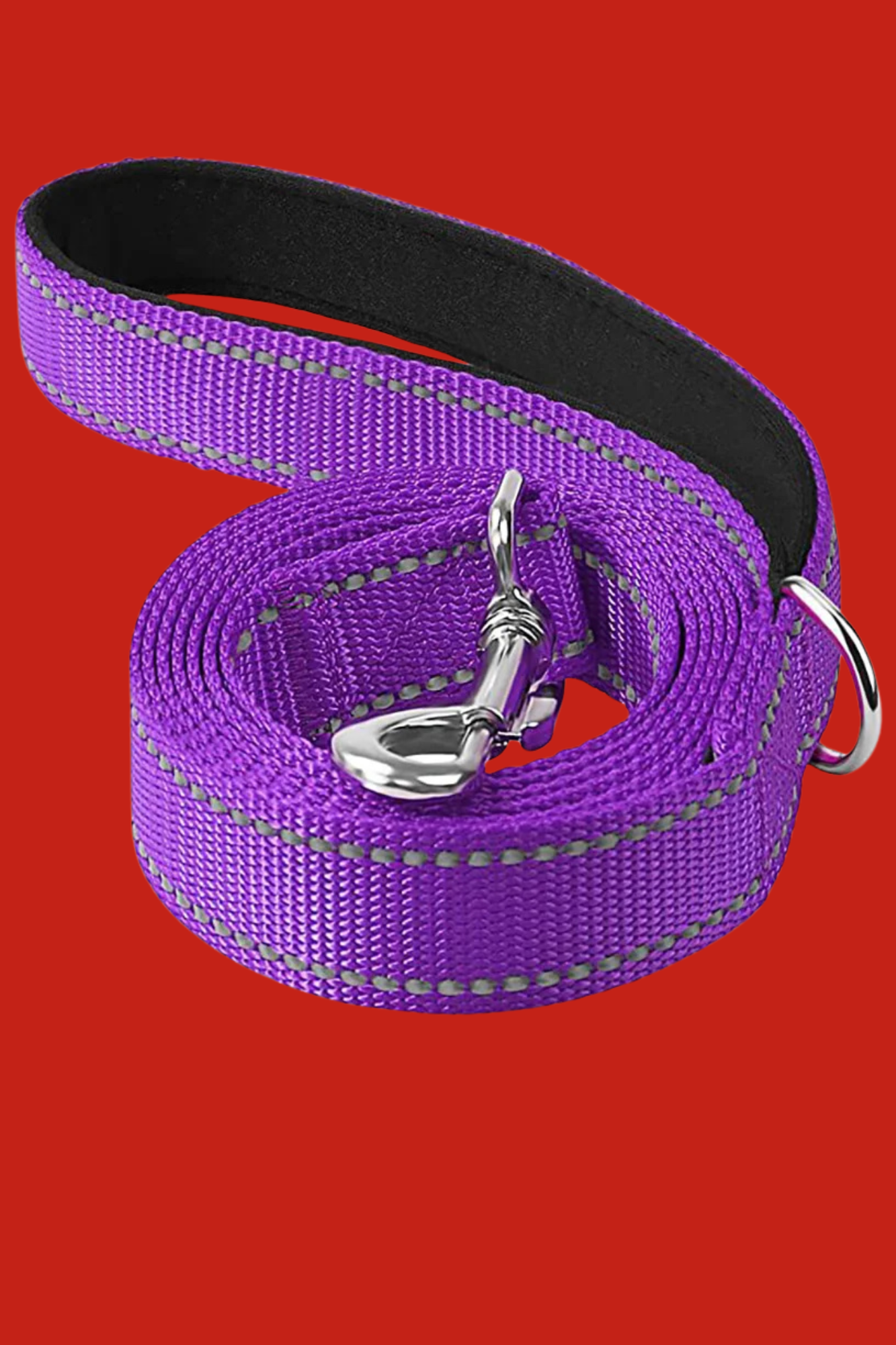laisse mauve pour chien 