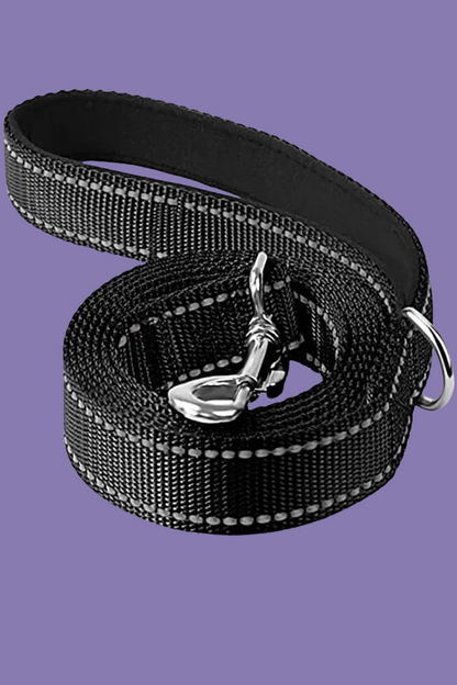 laisse noir pour chien 