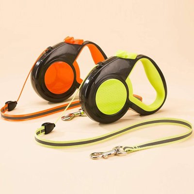 Laisse pour Chat orange vert