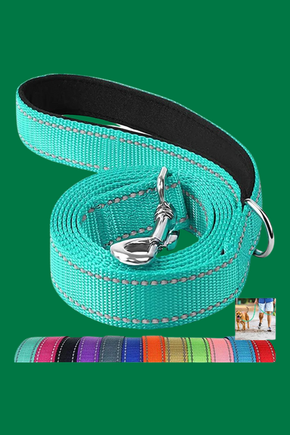 laisse pour chien 13 couleur