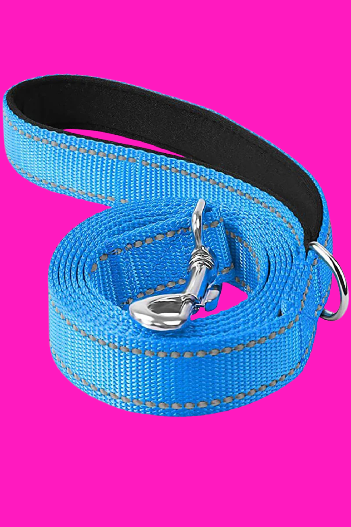 laisse pour chien bleu bebe