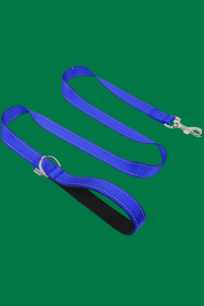laisse pour chien bleu fonce