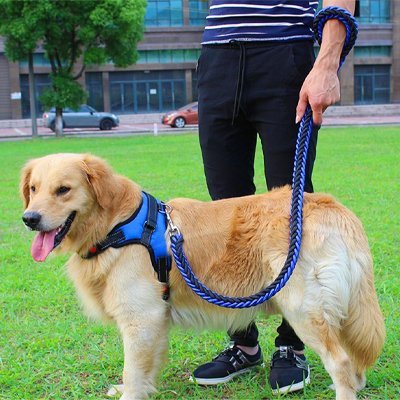 Laisse pour Chien bleu noir