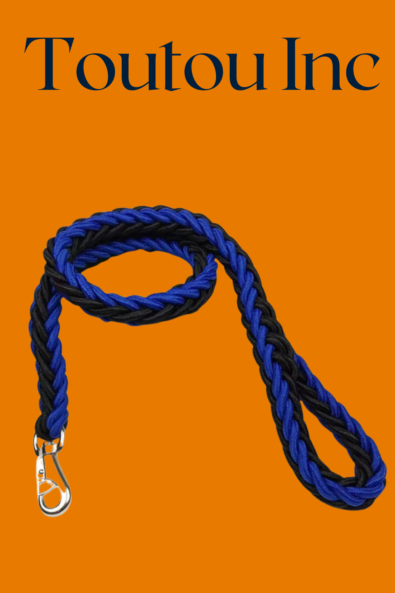laisse pour chien bleu noir
