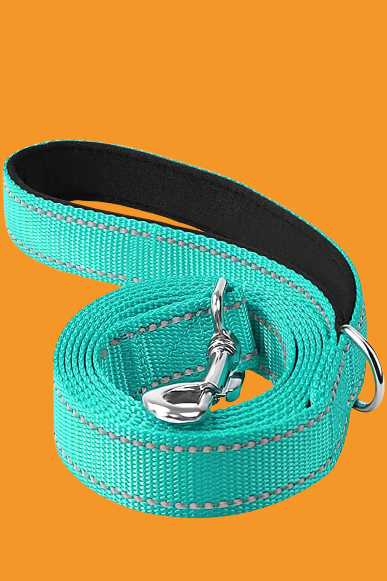 laisse pour chien bleu vif