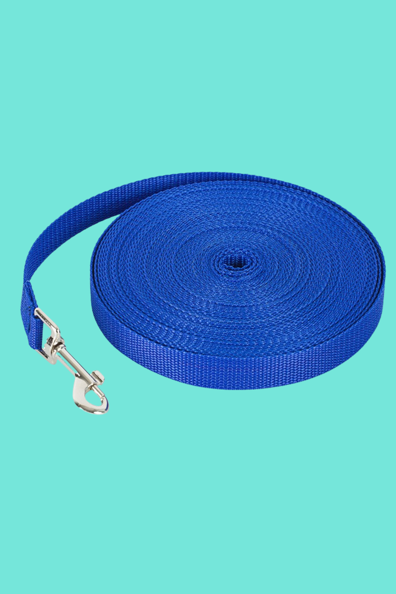 laisse pour chien bleu