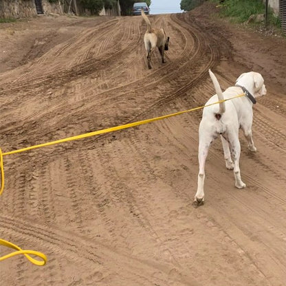 Laisse pour chien jaune