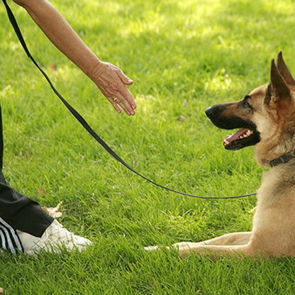 Laisse pour chien noir flexible