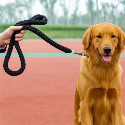 Laisse pour Chien noir resistant