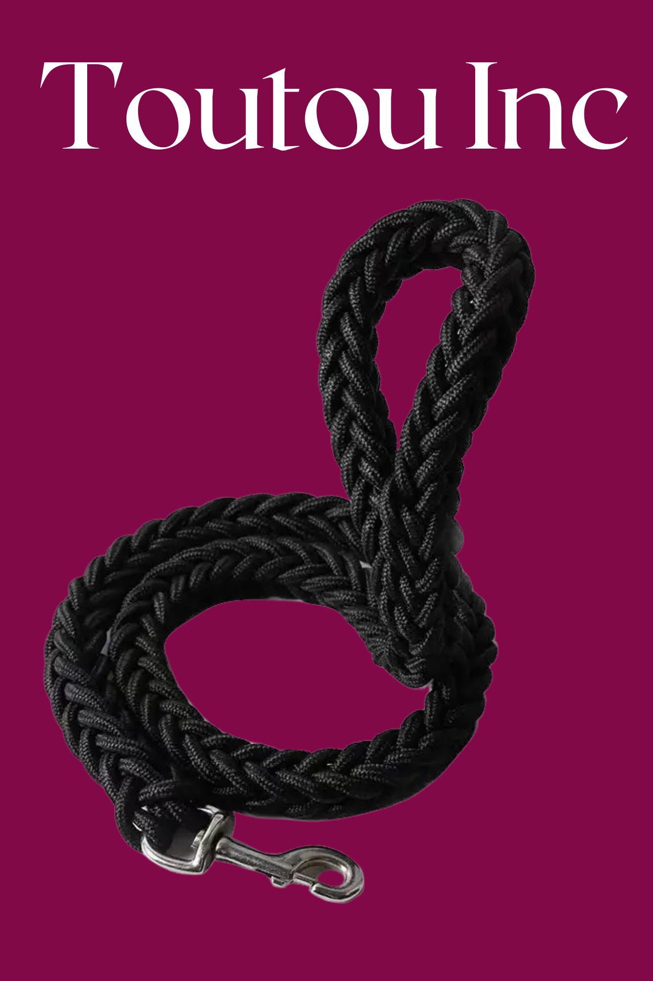 laisse pour chien noir toutou
