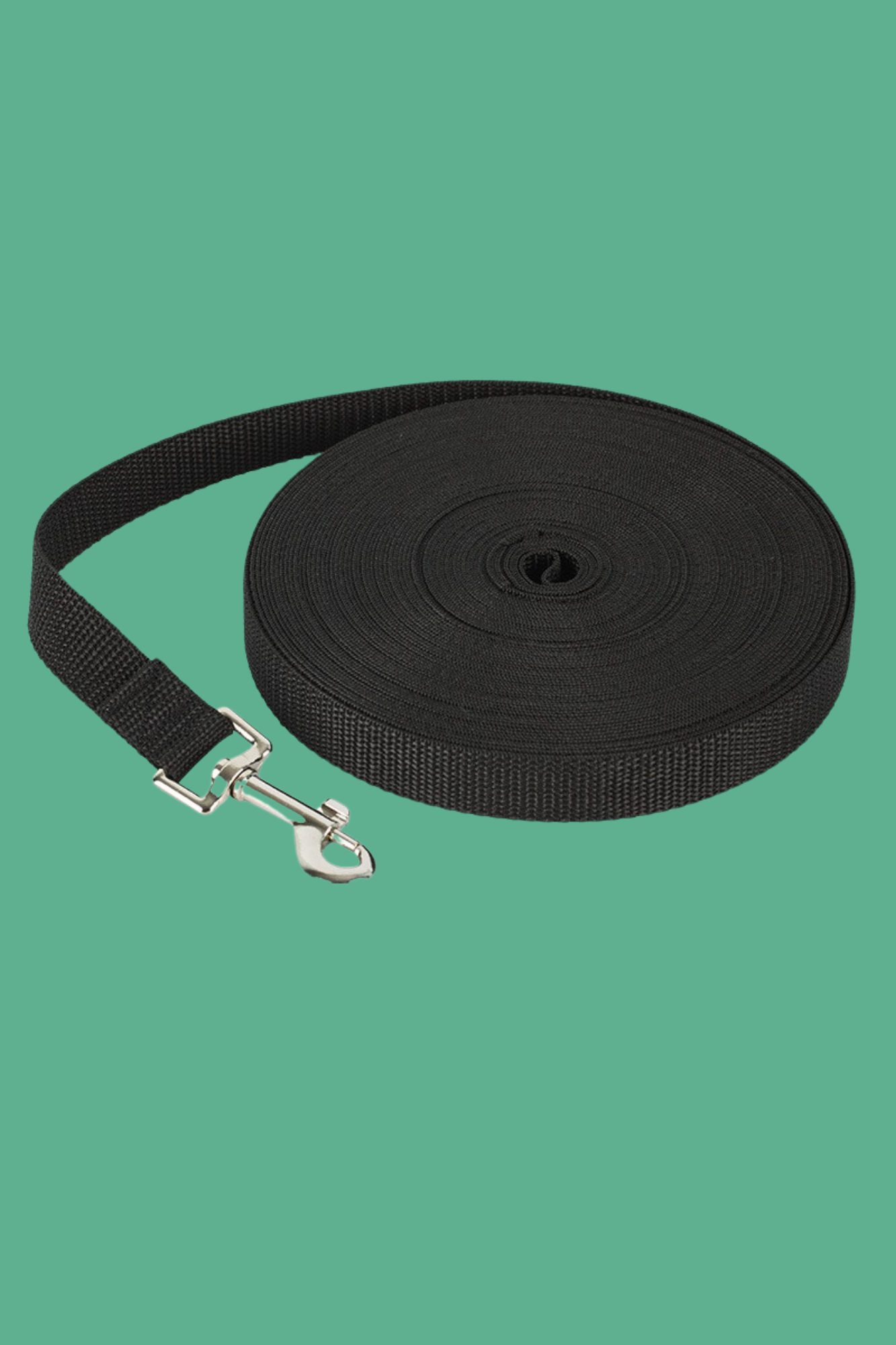 laisse pour chien noir