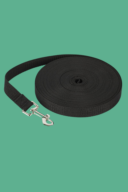 laisse pour chien noir