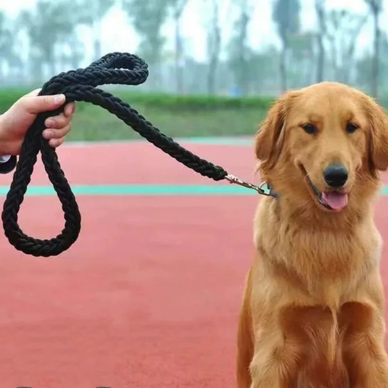 laisse pour chien nylon