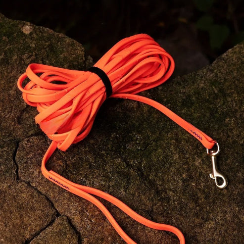 Laisse pour chien orange Résistante et Confortable
