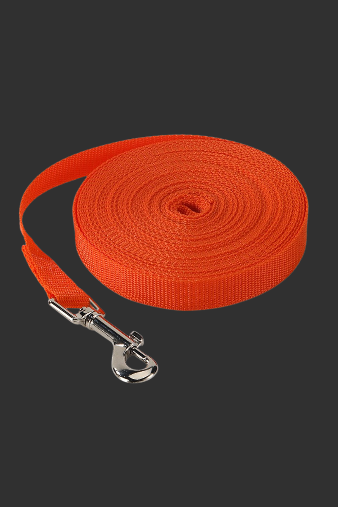 laisse pour chien orange