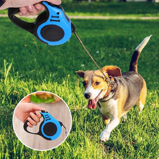 Laisse pour chien robusta