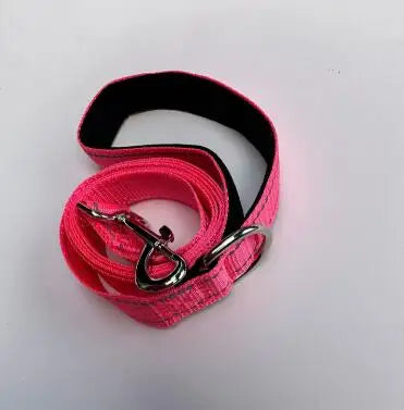 laisse pour chien rose vif