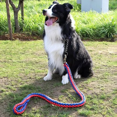 Laisse pour Chien rouge bleu