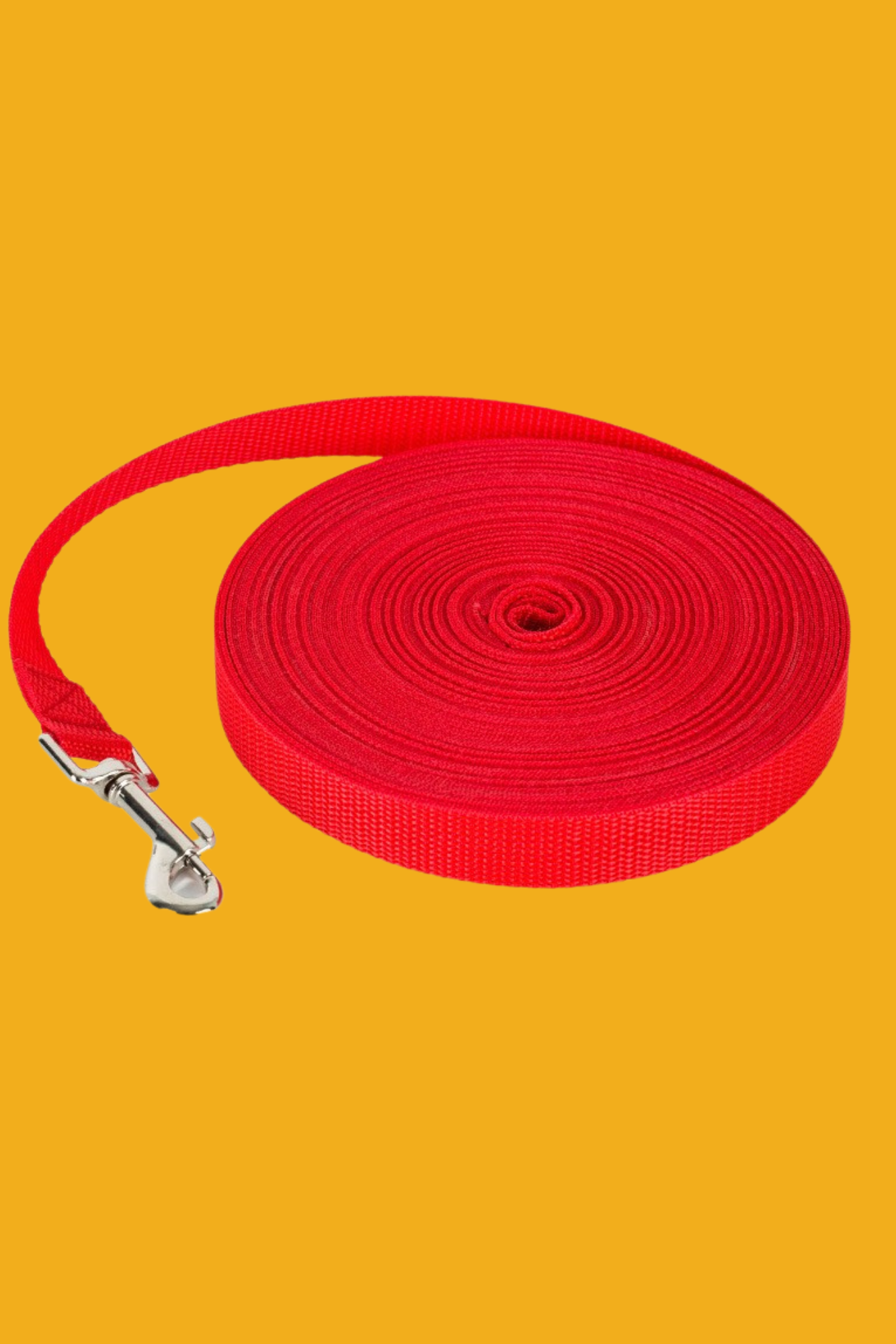 laisse pour chien rouge