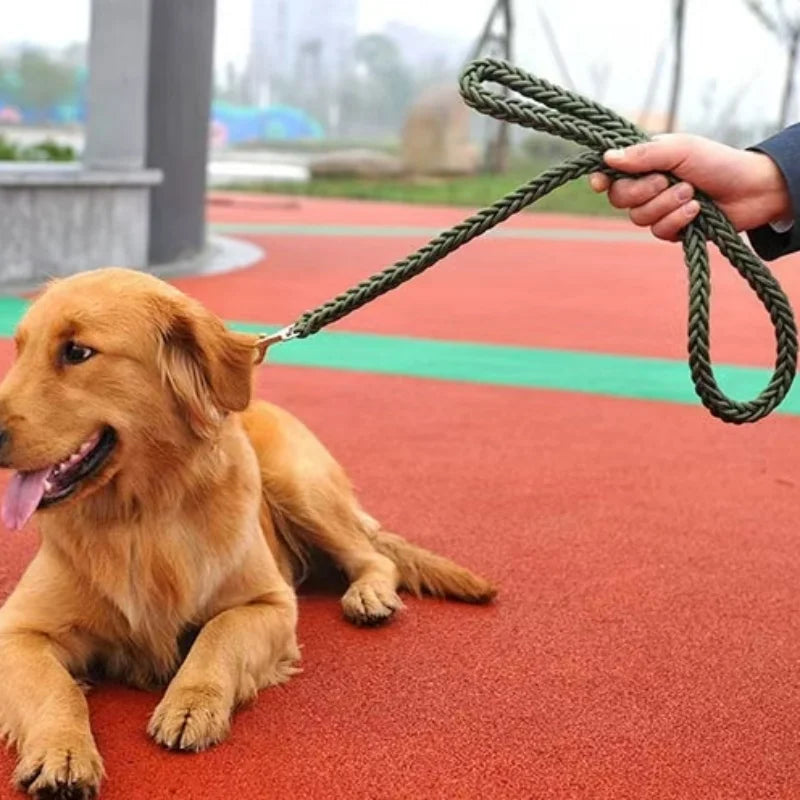 laisse pour chien traction