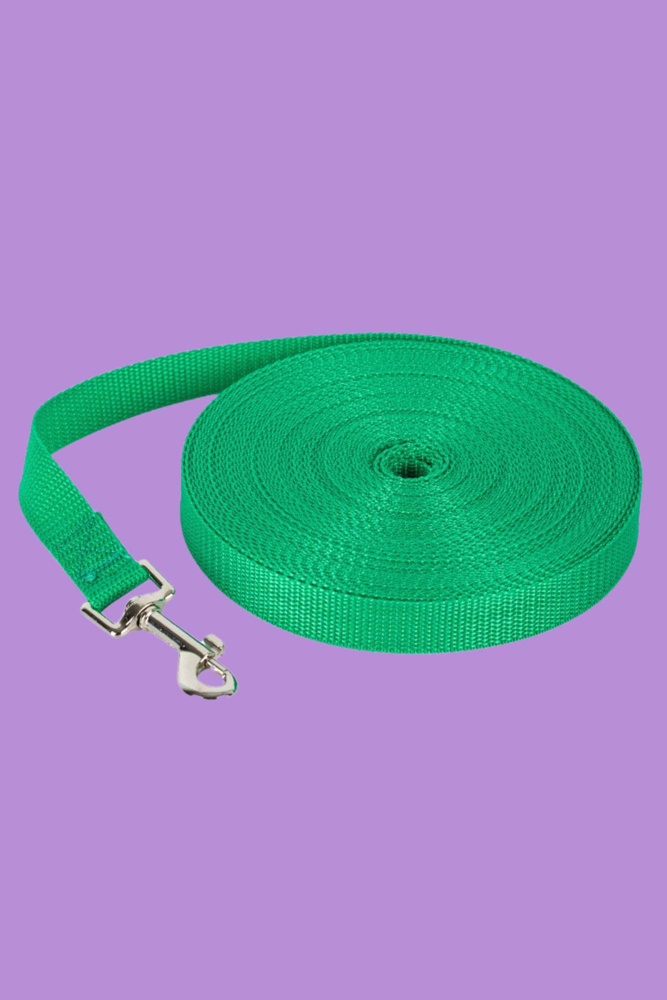 laisse pour chien vert herbe