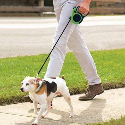 Laisse pour chien vert