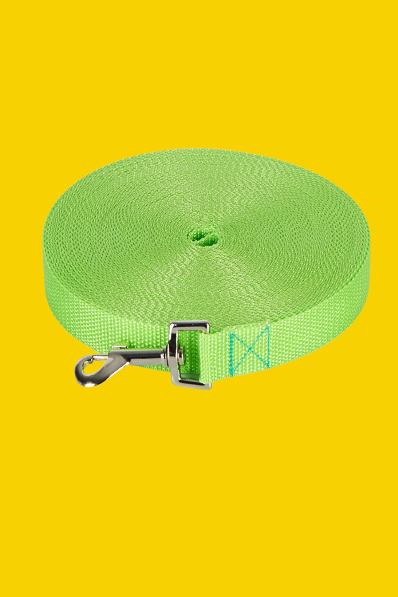 laisse pour chien vert 