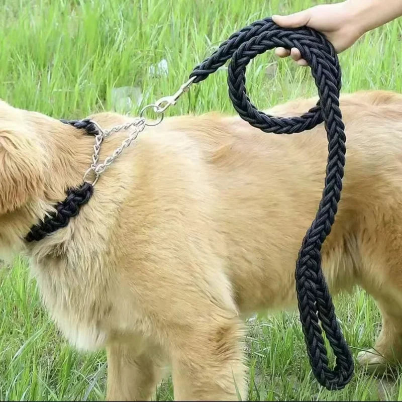 laisse pour chien 