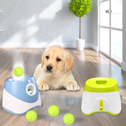 lanceur de balle chien 