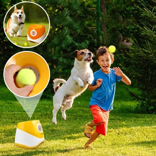 Lanceur de balle pour chien auto
