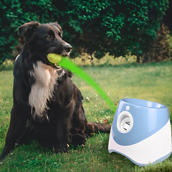Lanceur de balle pour chien bleu auto